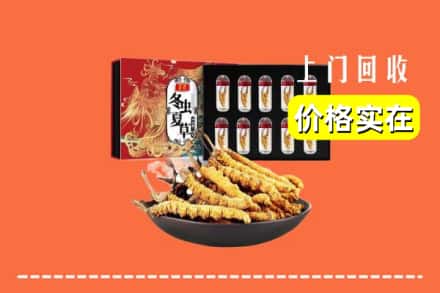 榆林市吴堡回收冬虫夏草